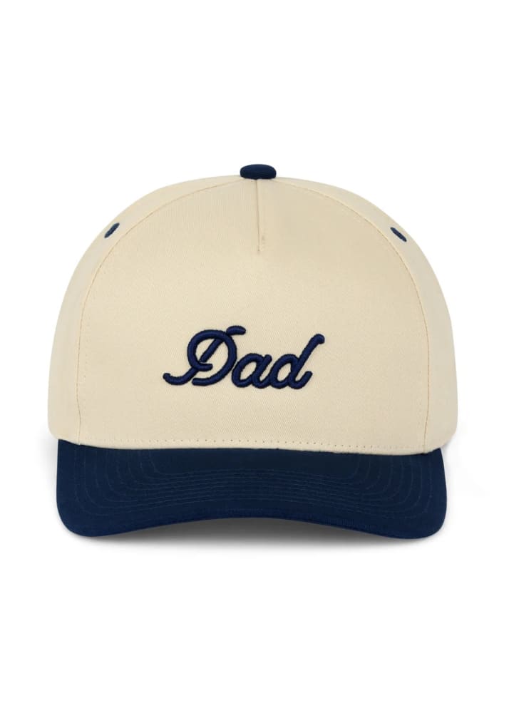 Dad Brand Snapback in Navy hat