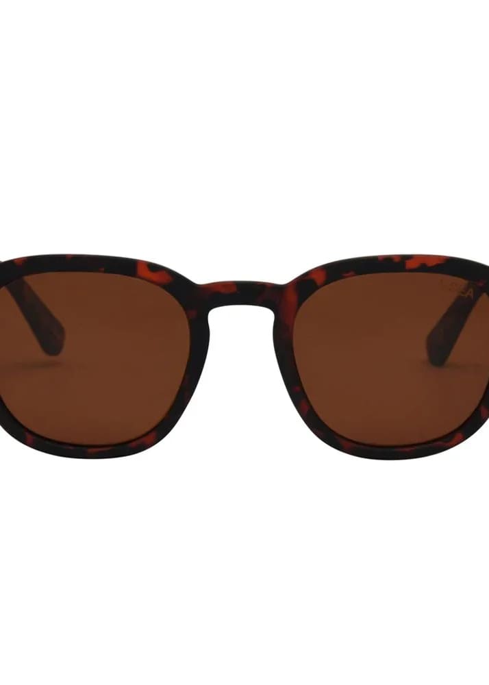 I SEA - Barton Polarized Sunglasses - TORTOISE - sunglasses