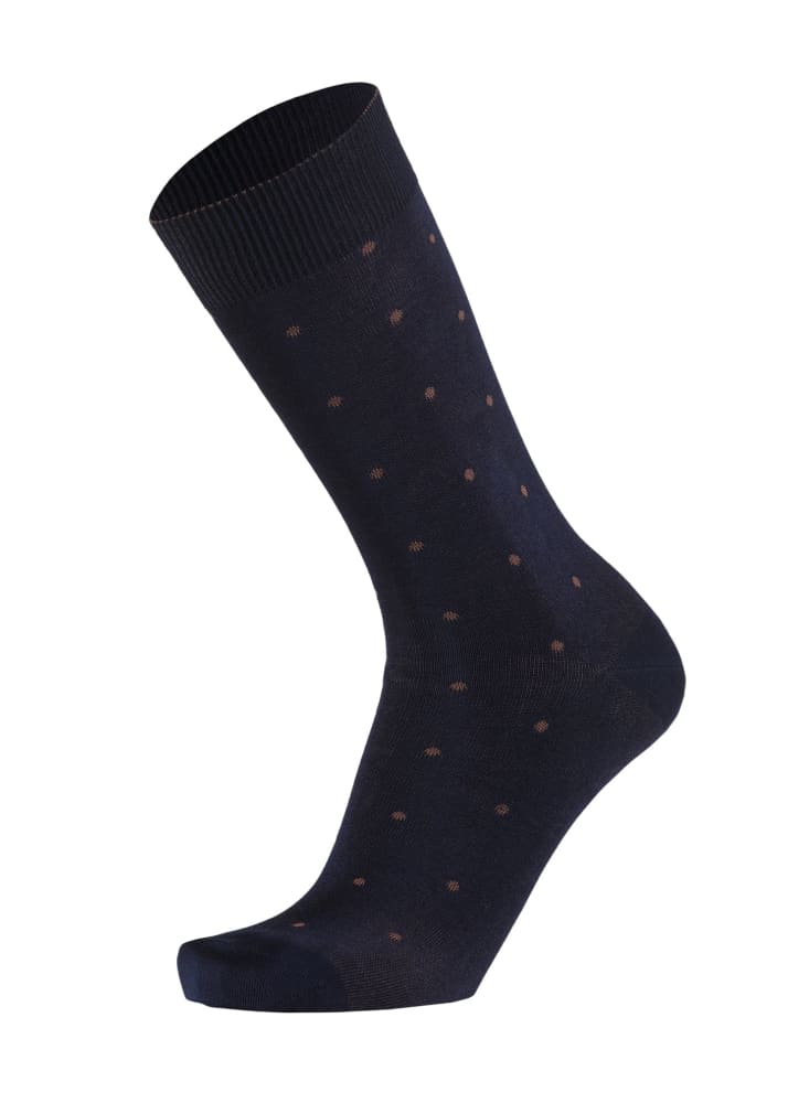Westmister- 2 Color Balls Socks - Blue/Brown - sock